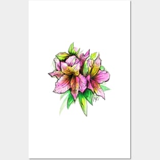 Lily - Alstroemeria Posters and Art